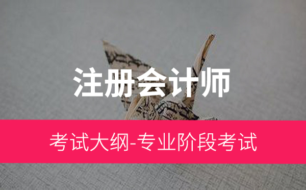 注册会计师全国统一考试大纲——专业阶段考试（2018年）
