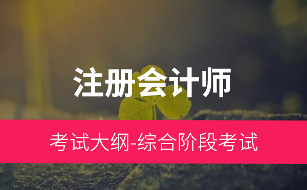 注册会计师全国统一考试大纲——综合阶段考试（2018年）